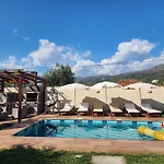 Kallmet فيلة *